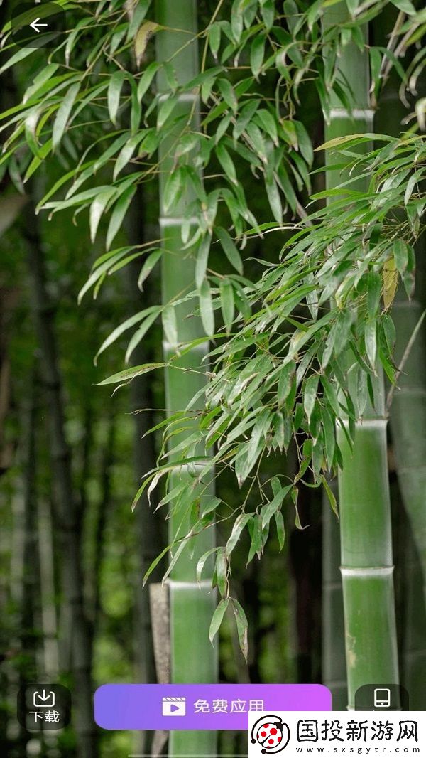 壁紙多多免費app,壁紙多多免費軟件 壁紙多多免費app,壁紙多多免費軟件